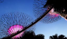 Singapore startup to boost local headcount and open Hong Kong office