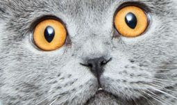 Morning Coffee: What's wrong with Credit Suisse now? Barclays will be clawing back some bonuses