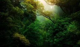 The top ESG jobs in banking and finance, and what they entail