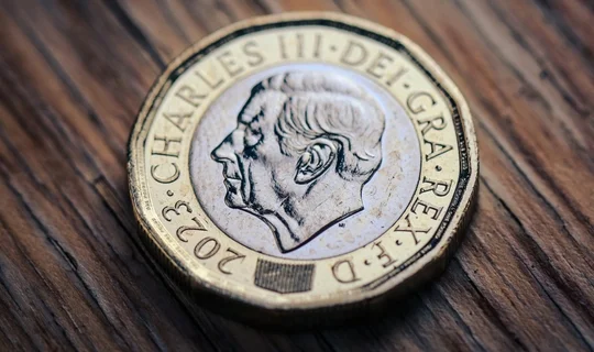 Pound coin