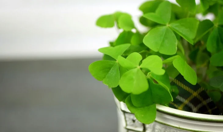 Morning Coffee: Former Morgan Stanley banker says it’s better to be lucky than good. Everything’s great but nobody’s hiring