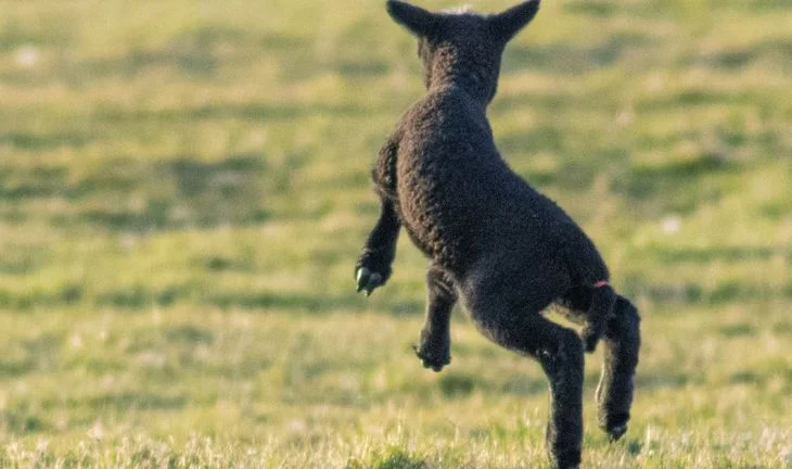 Spring week in banks: Don't be annoying, suck up to HR