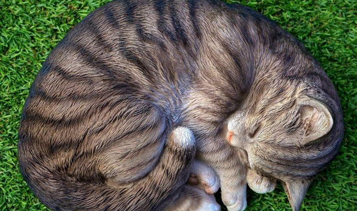Goldman Sachs engineer says morning snooze a benefit of WFH