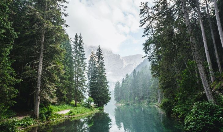 The trouble with ESG jobs in finance