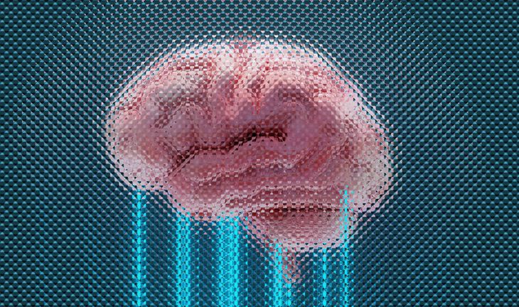 Brain