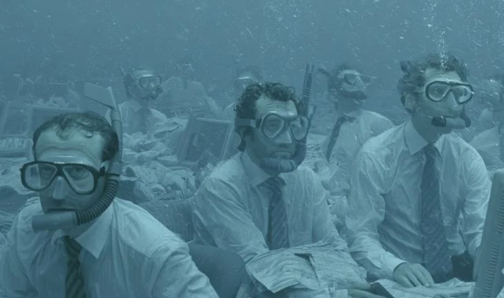 traders in snorkels