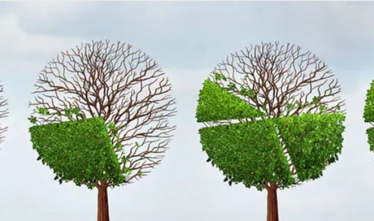 Mastering the financials