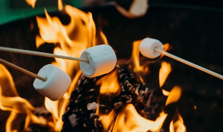 Marshmallows on a fire