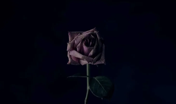 Ex-Goldman Sachs MD: M&A jobs are dying