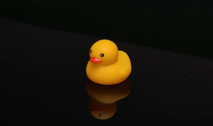 A rubber duck