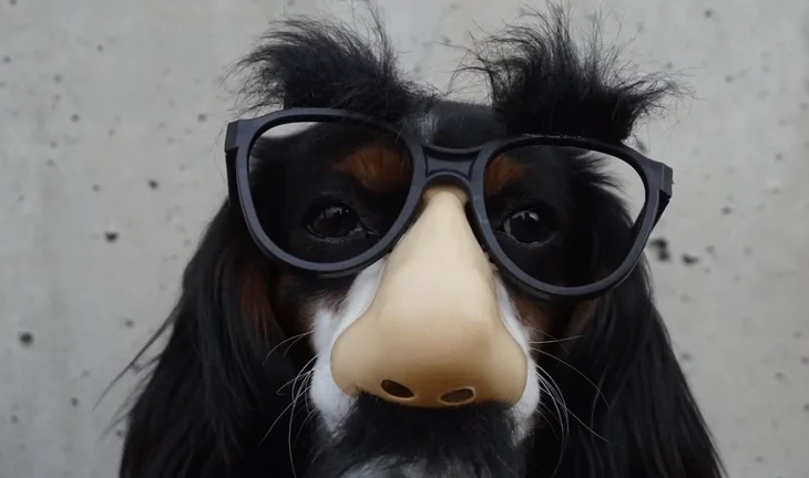 How to disguise desperation while looking for a new (banking) job