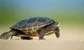 The traders at risk of being lapped in the AI race