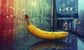 Goldman Sachs' fruit and veg stall coincided with the disappearance of free bananas